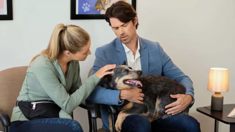 The Dog Lover's Guide to Dating Poster