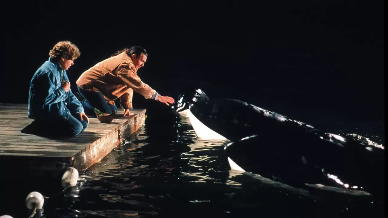 Free Willy 2: The Adventure Home Backdrop
