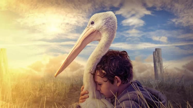 Storm Boy Poster