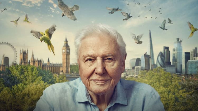 Wild London Poster