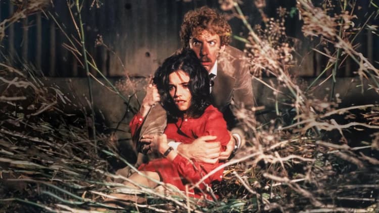 Invasion of the Body Snatchers Poster