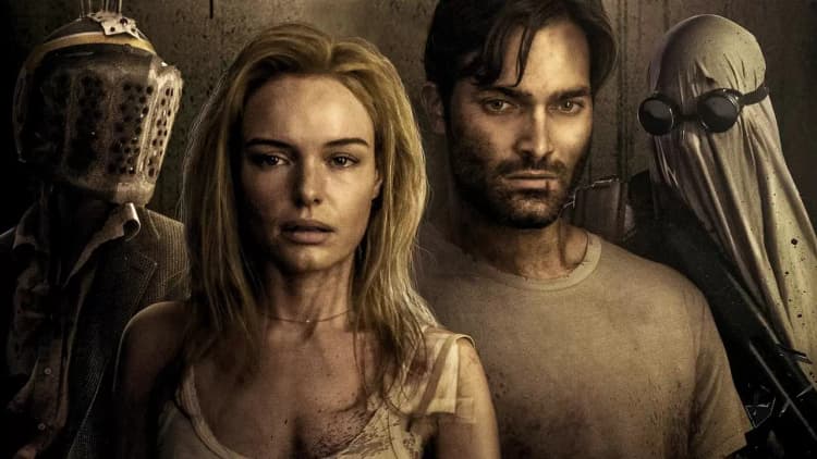 The Domestics Poster