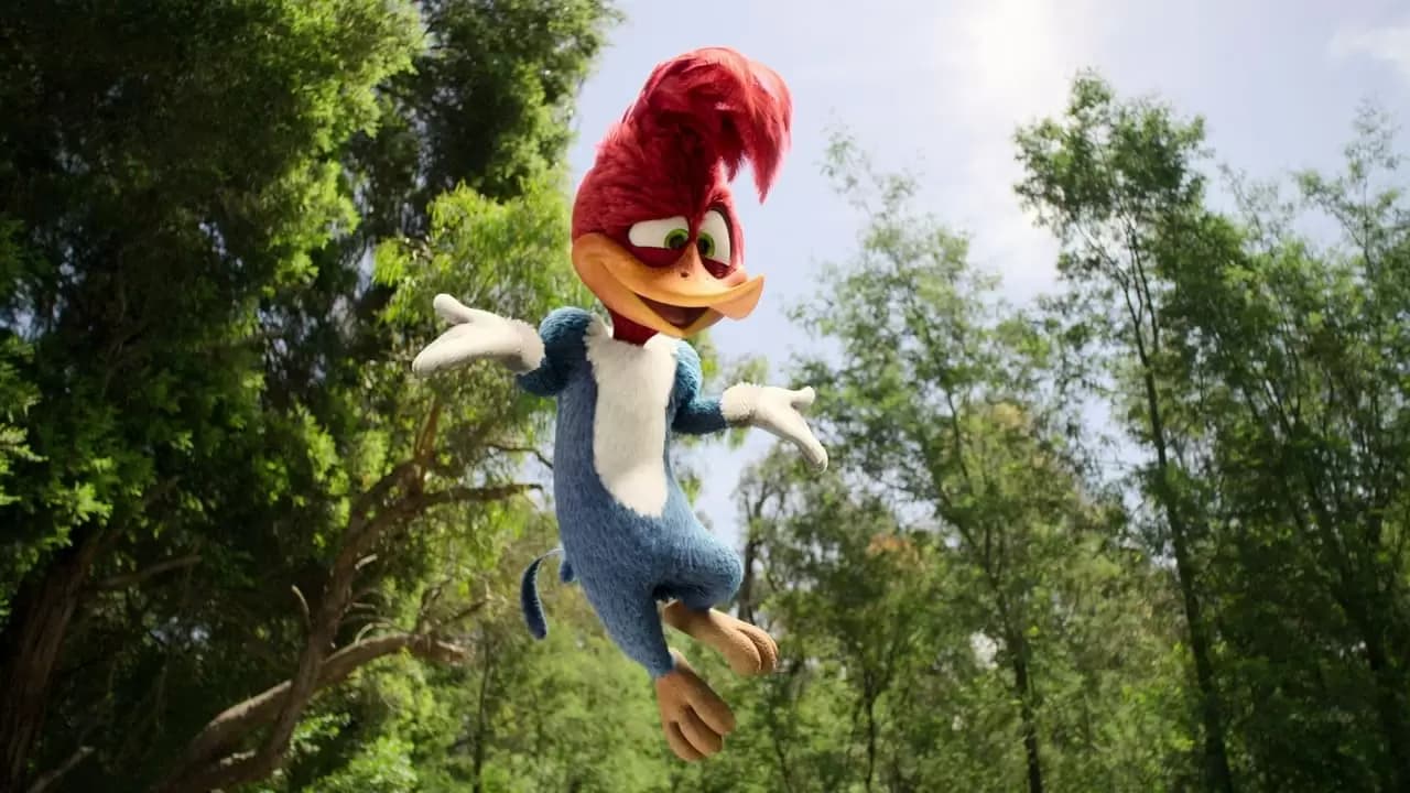 Woody Woodpecker Goes to Camp Backdrop
