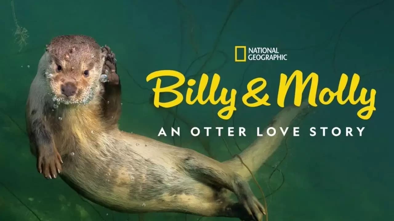 Billy & Molly: An Otter Love Story Backdrop