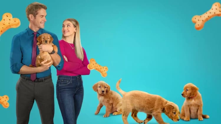 Puppies Everywhere Poster