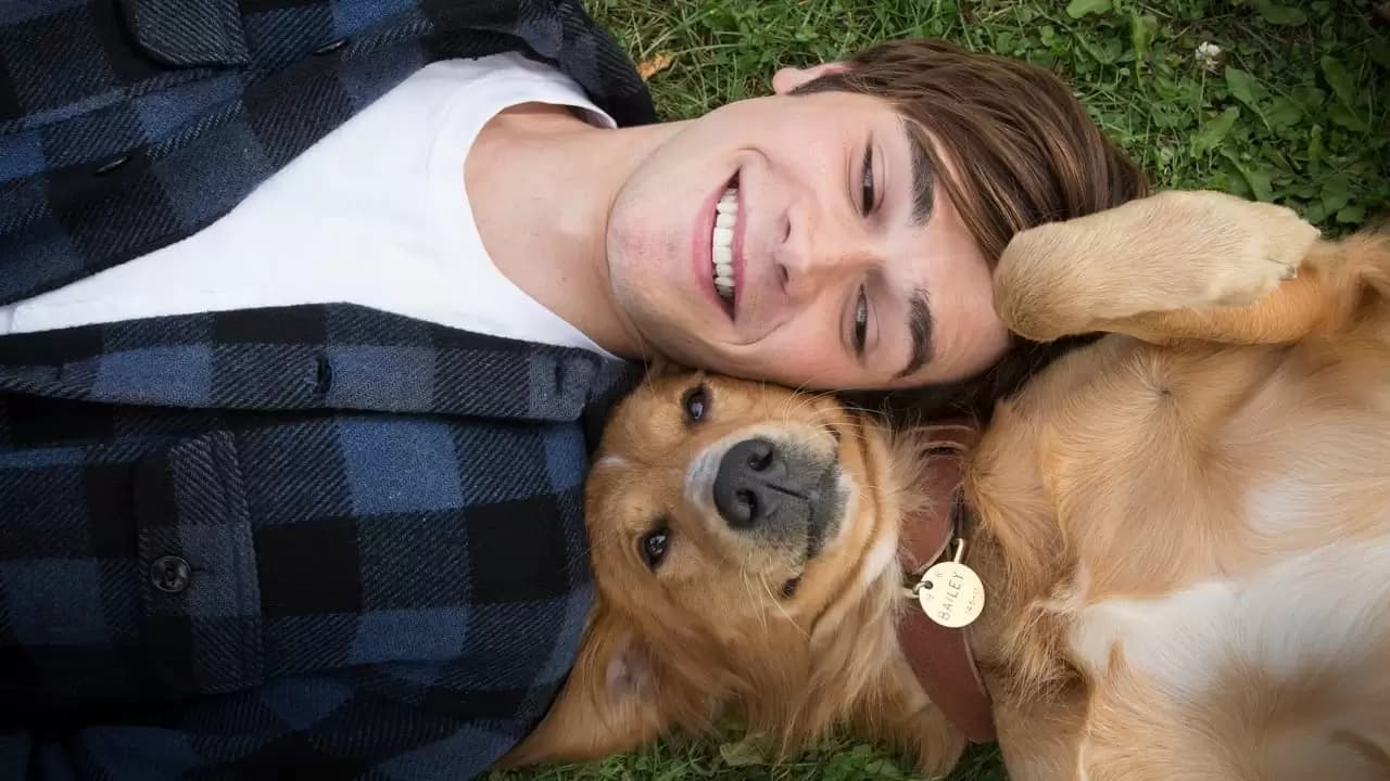 A Dog's Purpose Backdrop
