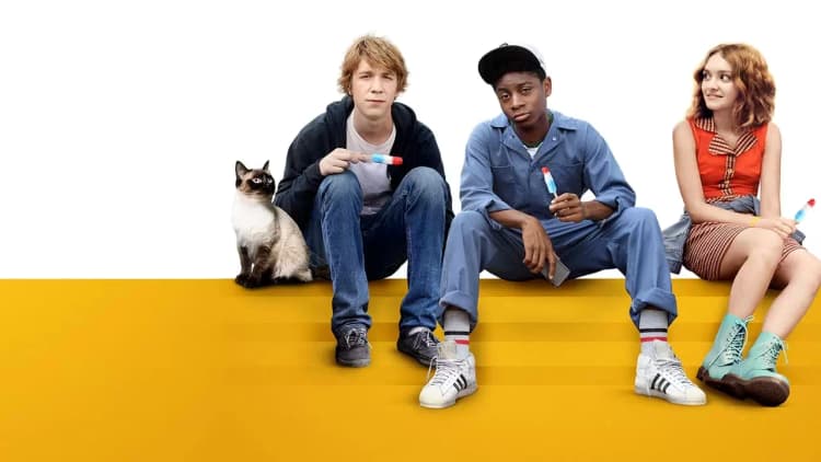 Me and Earl and the Dying Girl Poster