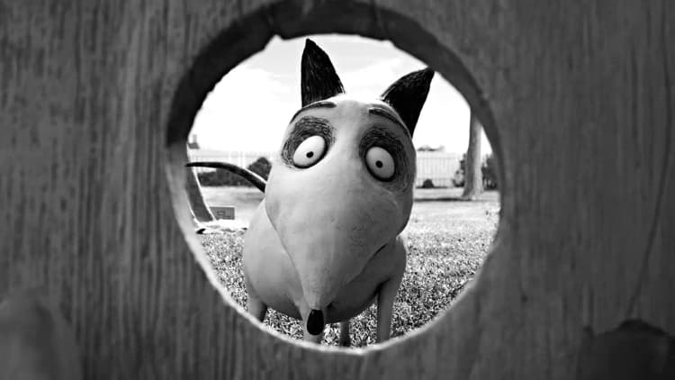 Frankenweenie Poster