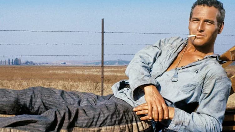 Cool Hand Luke Poster