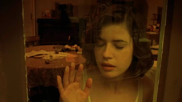 The Double Life of Véronique Poster