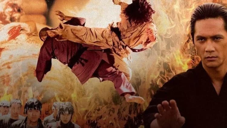 Fighter in the Wind Poster