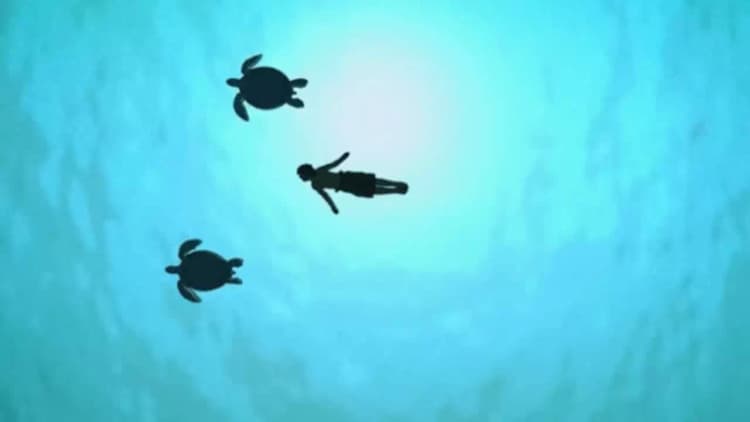 The Red Turtle Poster