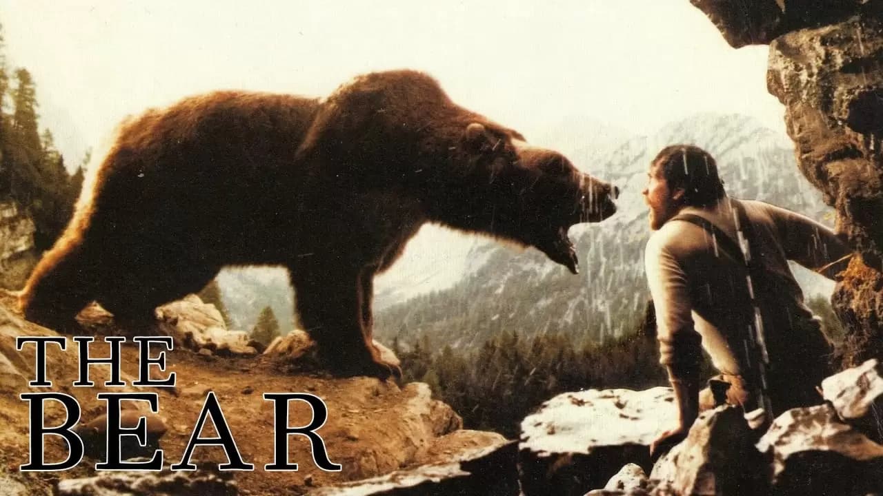 The Bear Backdrop