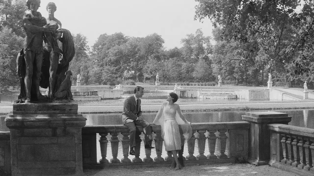 Last Year at Marienbad Backdrop