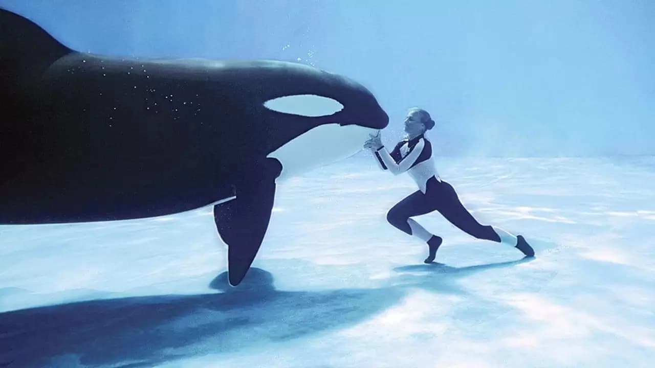 Blackfish Backdrop