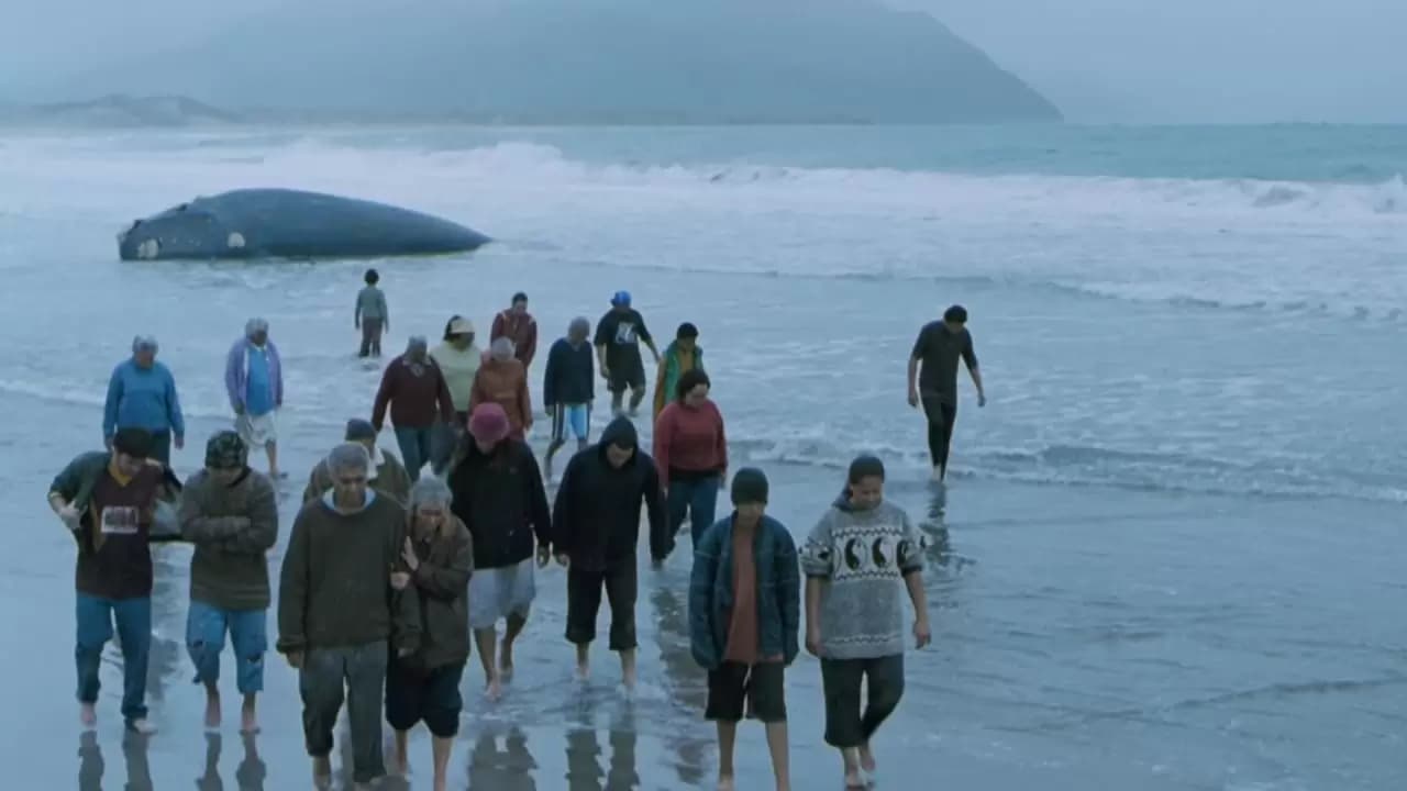 Whale Rider Backdrop