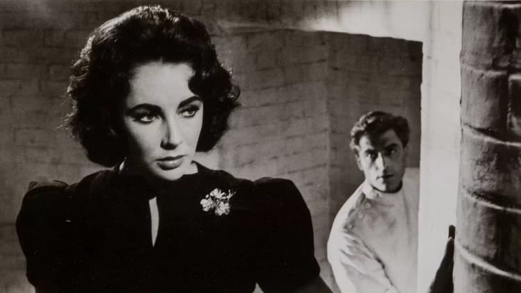 Suddenly, Last Summer Poster