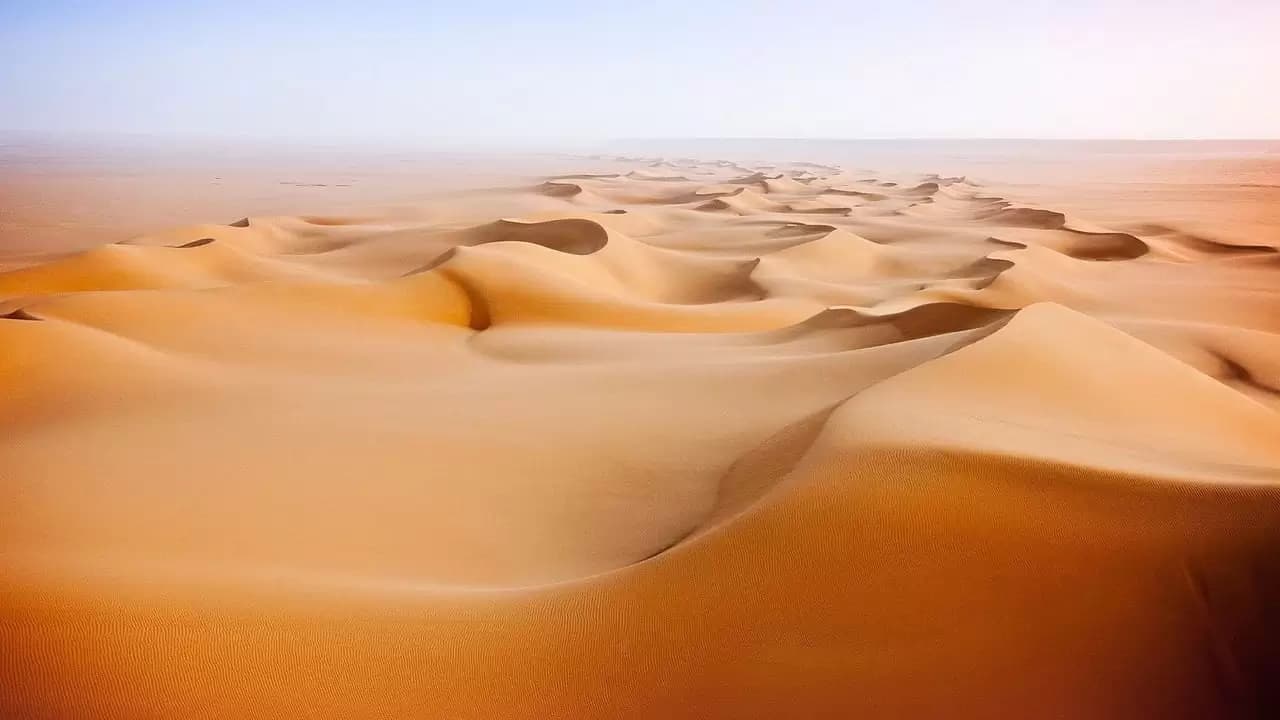 Wild Arabia Backdrop