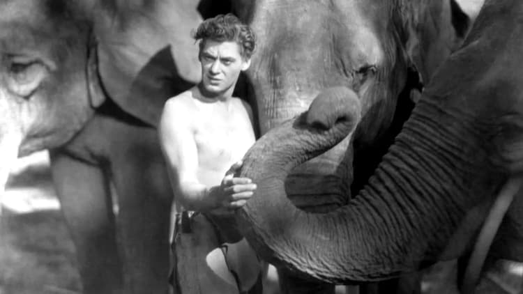 Tarzan the Ape Man Poster