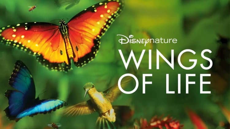 Disneynature: Wings of Life Poster