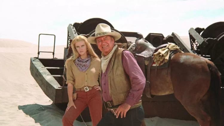 The Train Robbers Poster