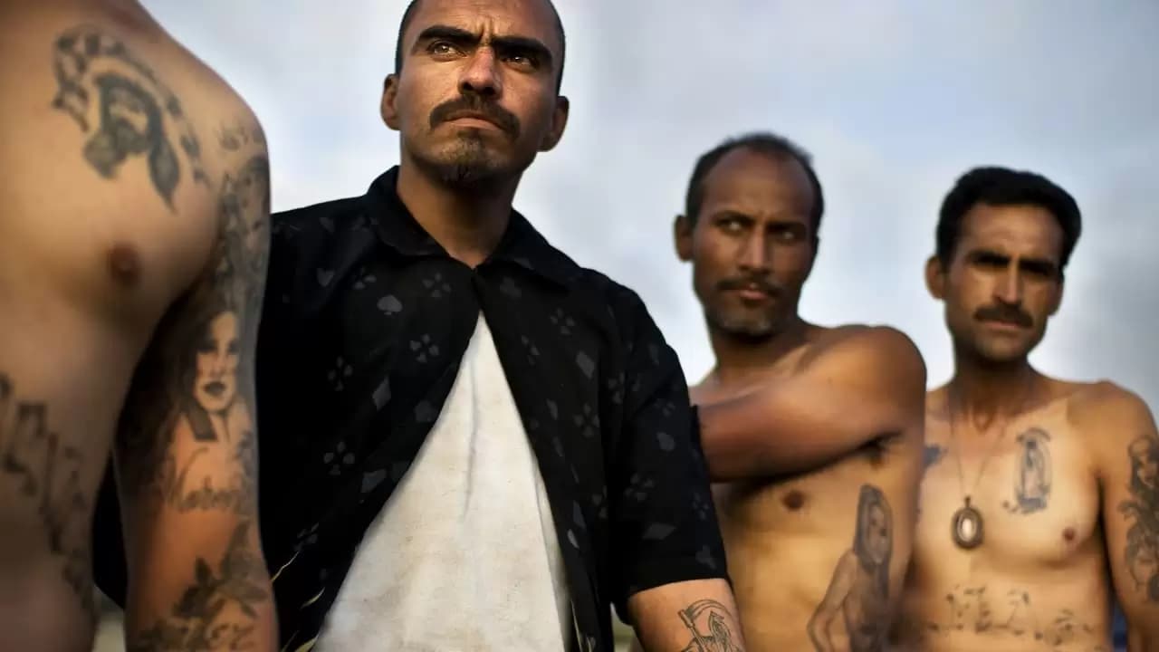 Narco Cultura Backdrop