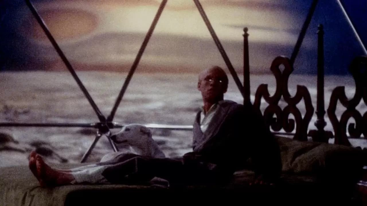 Slaughterhouse-Five Backdrop
