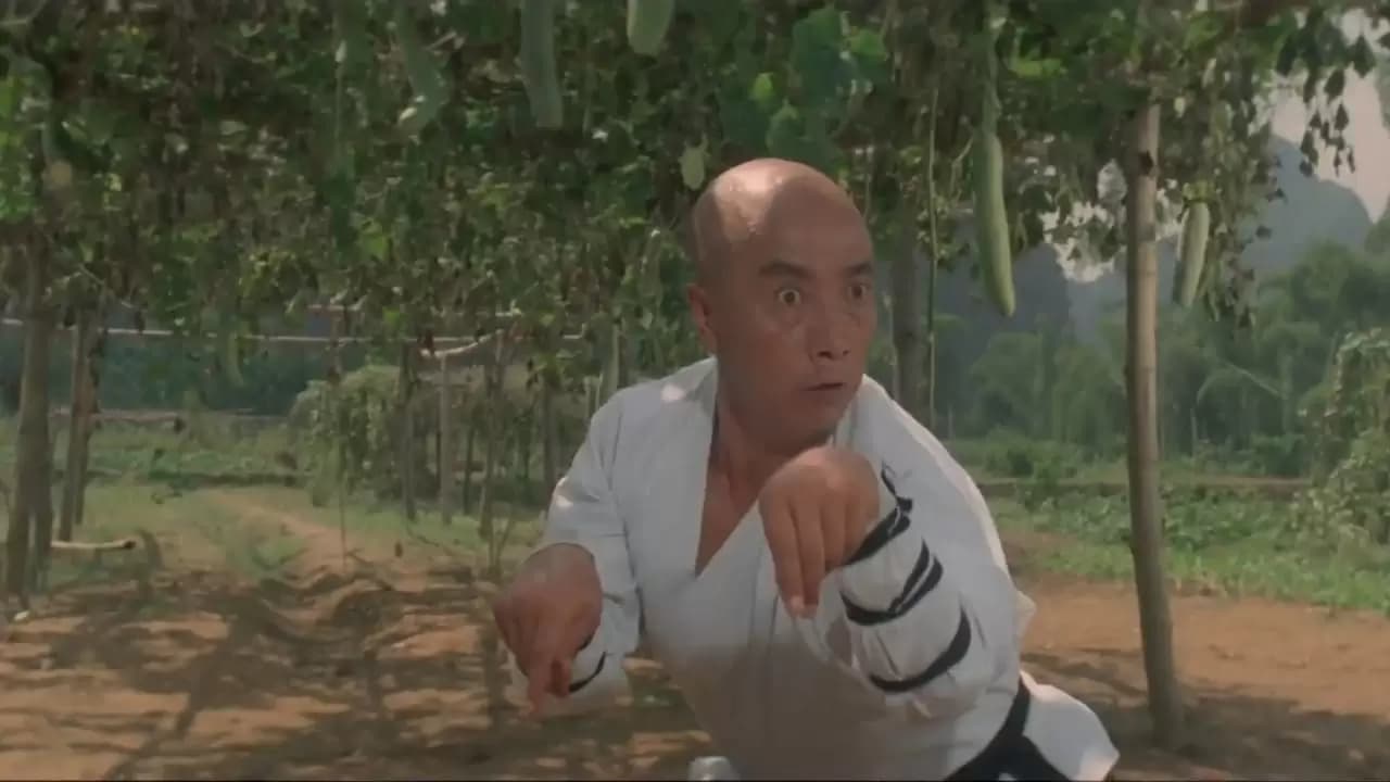 Martial Arts of Shaolin Backdrop