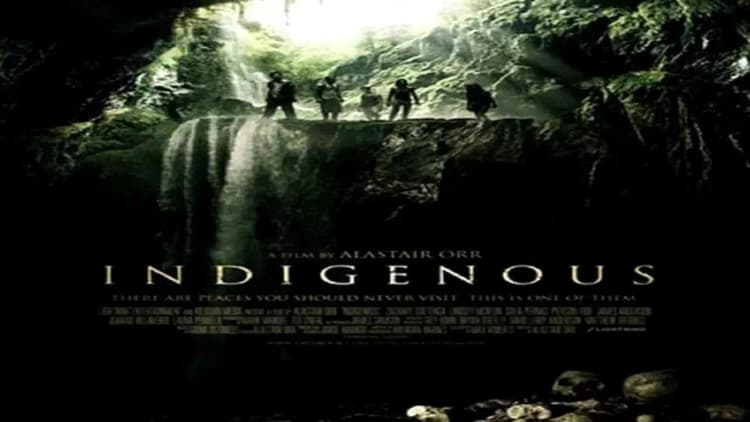 Indigenous Poster