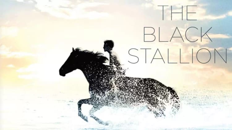 The Black Stallion Poster