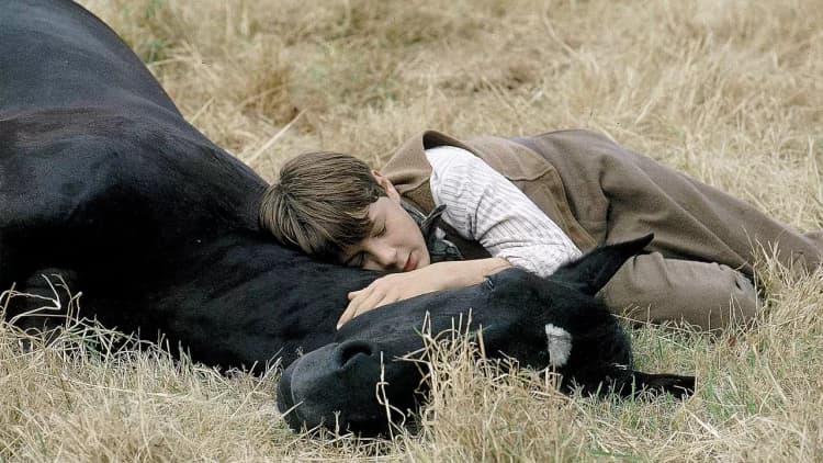 Black Beauty Poster