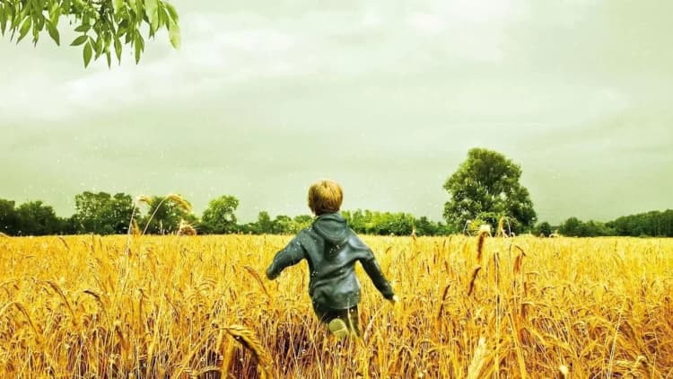 Fireflies in the Garden Poster