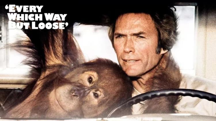 Every Which Way but Loose Poster