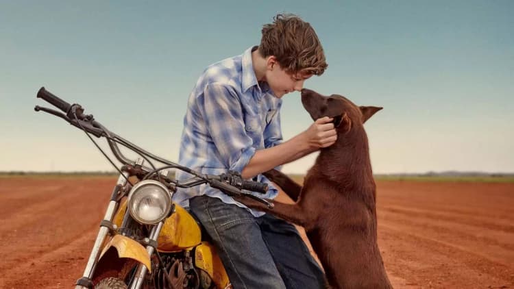 Red Dog: True Blue Poster