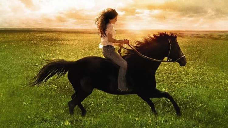 Flicka Poster