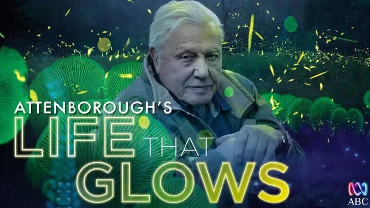 Attenborough's Life That Glows Poster