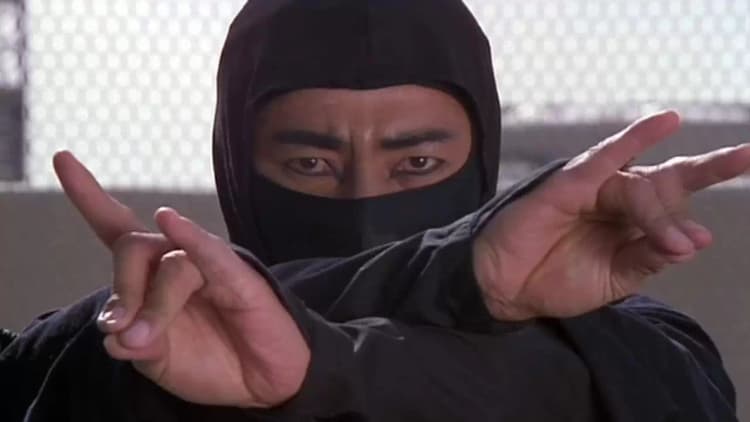 Revenge of the Ninja Poster
