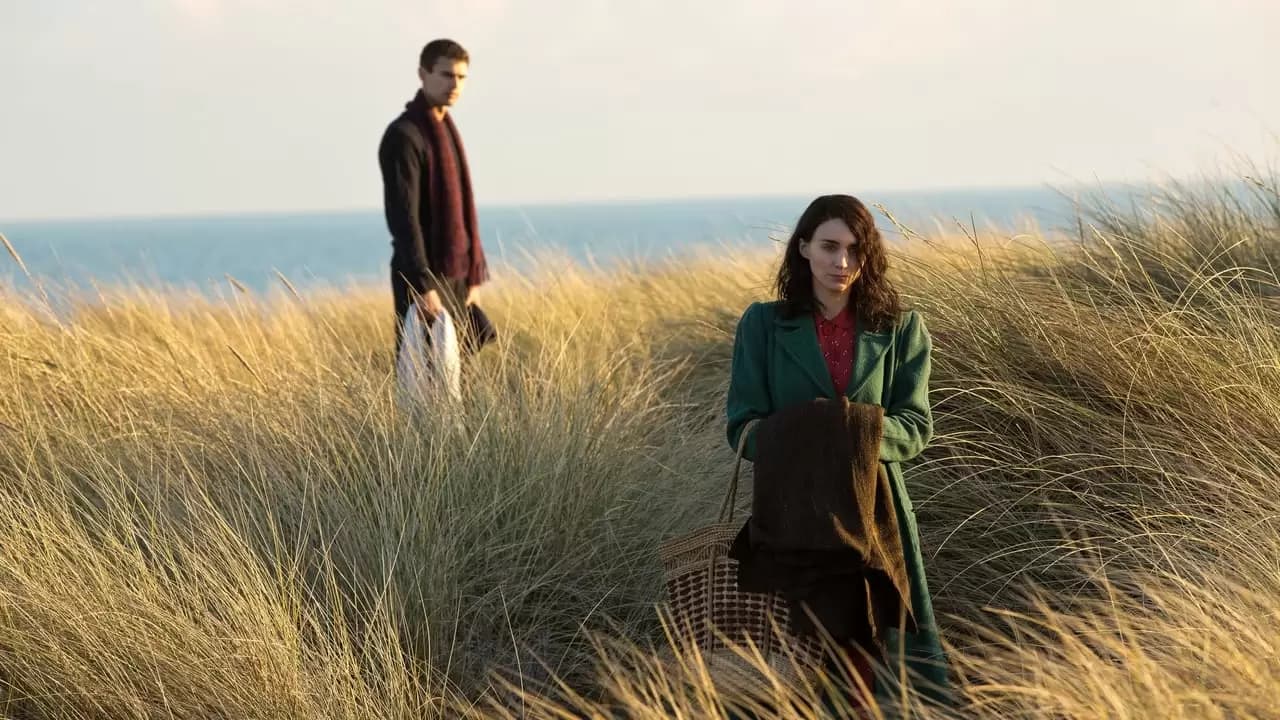 The Secret Scripture Backdrop