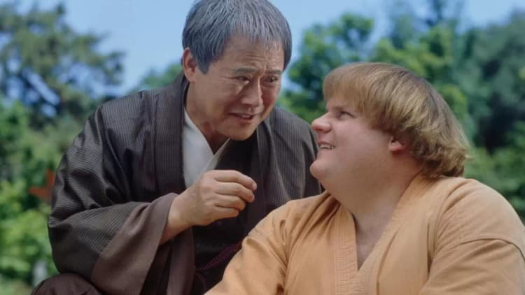 Beverly Hills Ninja Poster