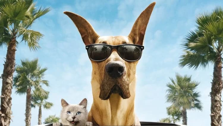 Marmaduke Poster