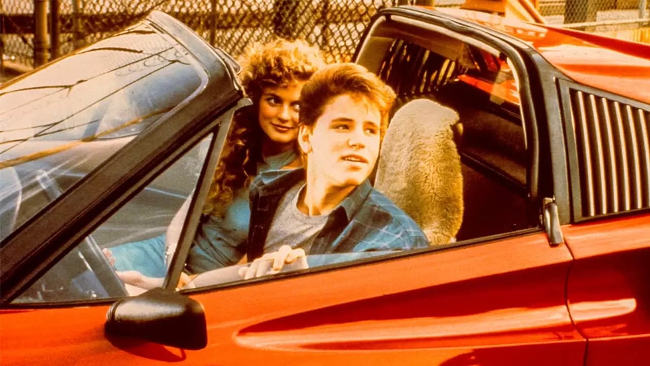 License to Drive Backdrop