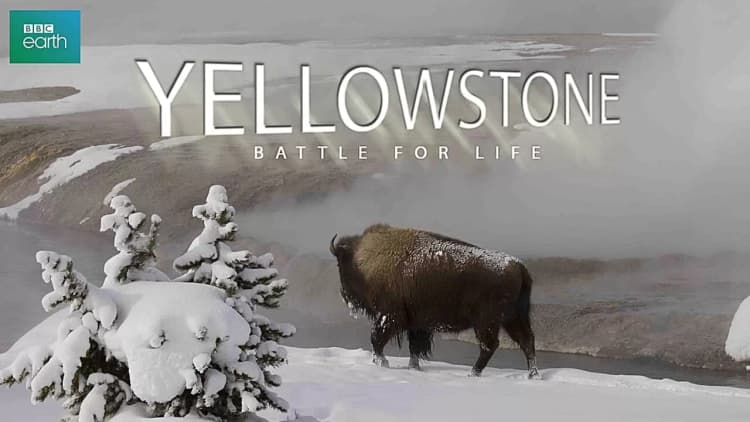 Yellowstone Poster