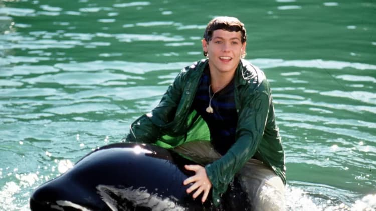Free Willy 3: The Rescue Poster