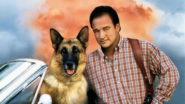 K-911 Poster