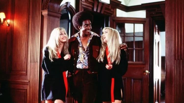 The Ladies Man Poster