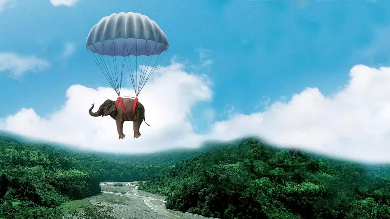 Operation Dumbo Drop Backdrop