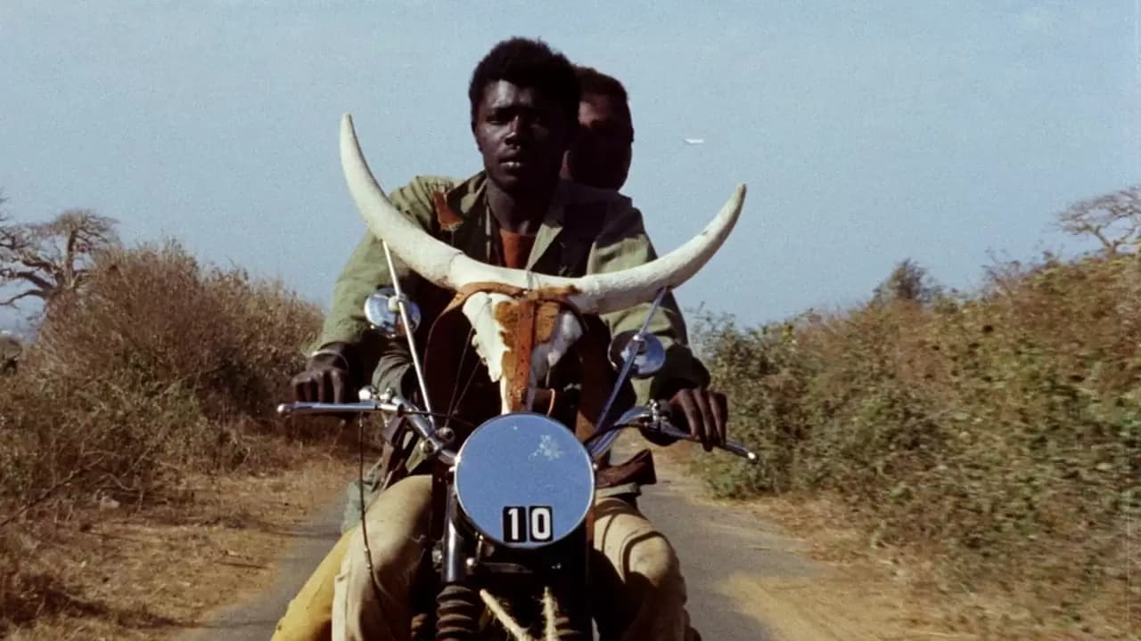 Journey of the Hyena Backdrop
