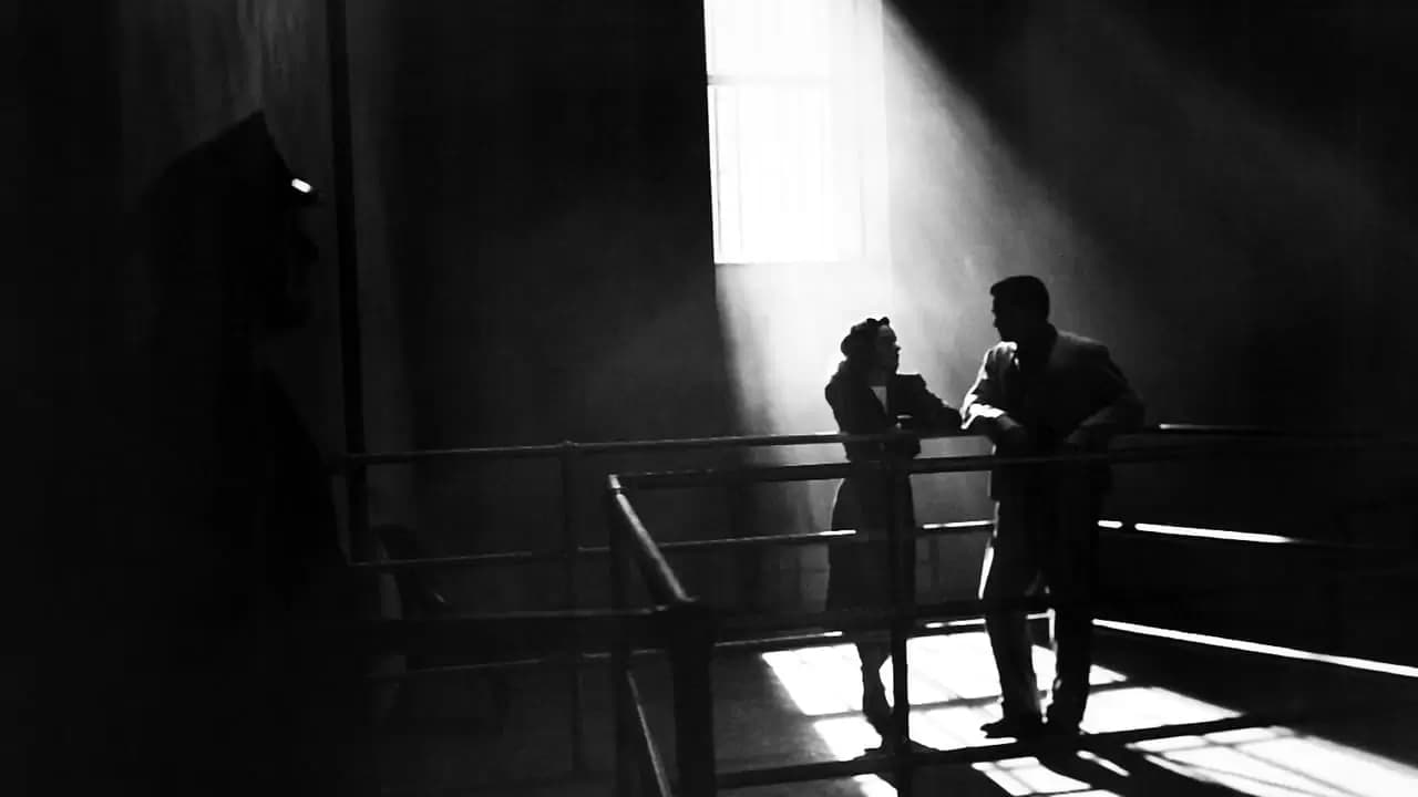 Phantom Lady Backdrop