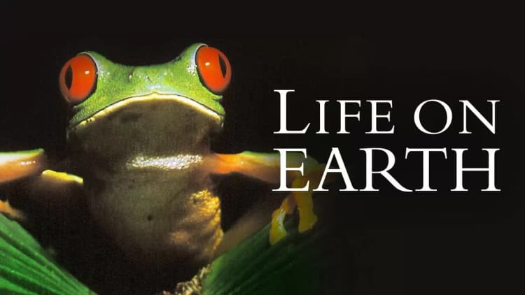 Life on Earth Poster