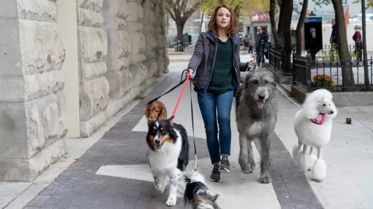 A Dog's Journey Poster